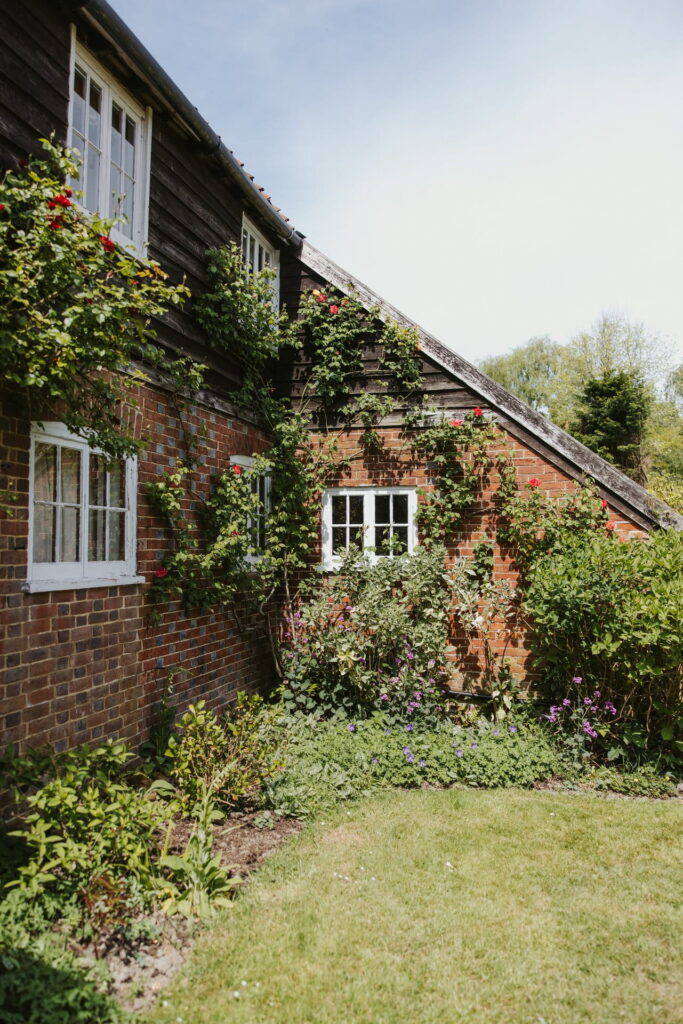 Back Lane House Photos-3554